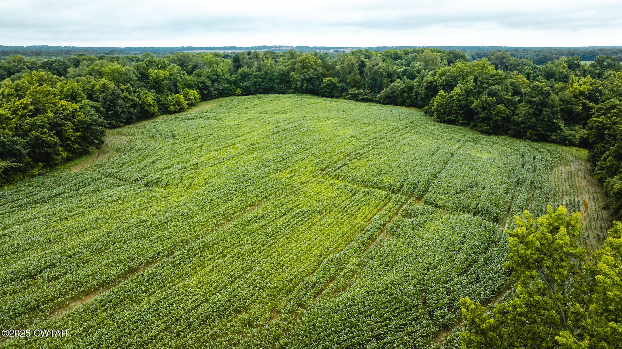 0 Hearn Road Greenfield, TN 38230 - Photo 8 of 24 DJI_20250617075208_0017_D