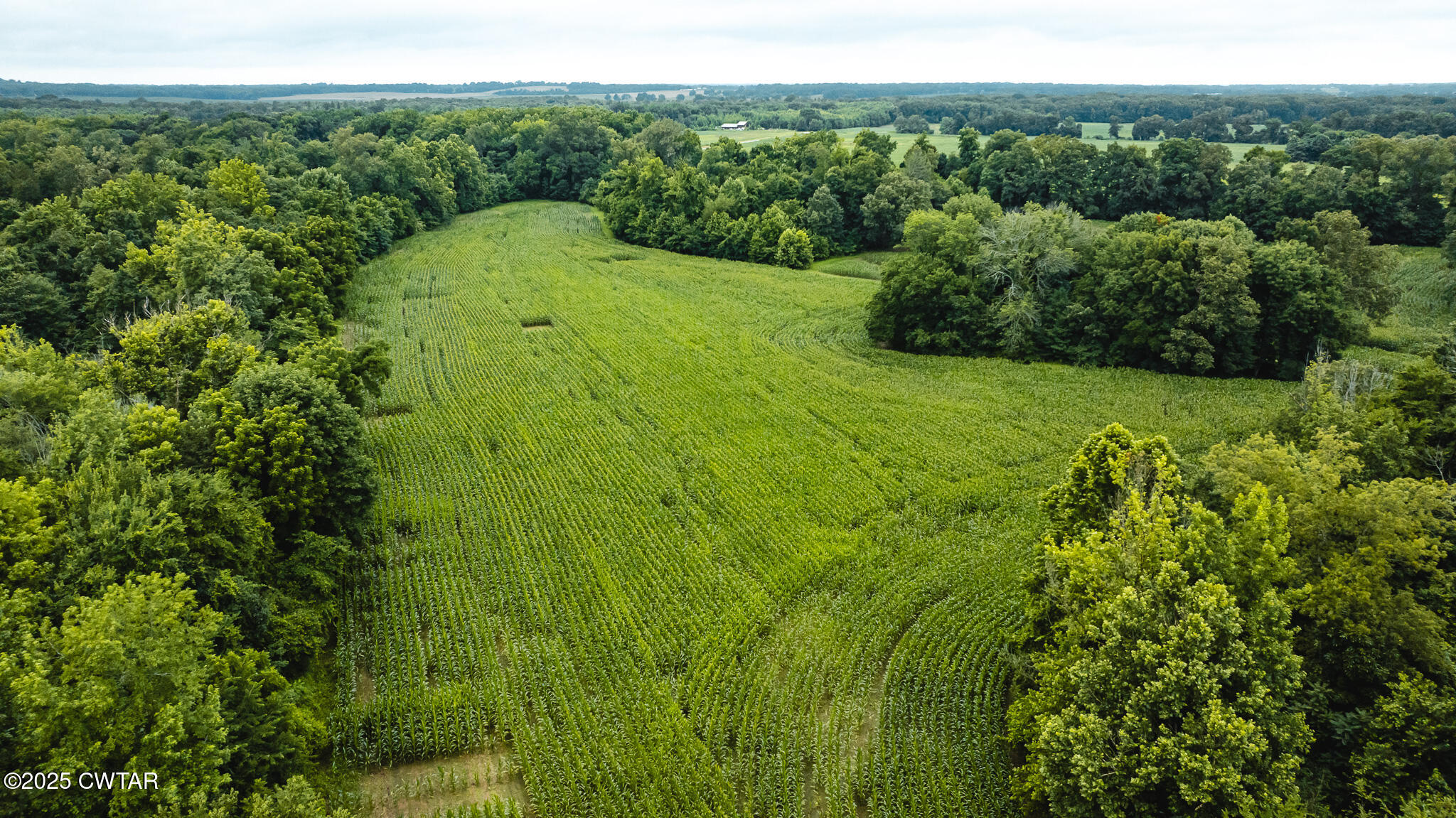 0 Hearn Road Greenfield, TN 38230 - Photo 9 of 24 DJI_20250617075232_0018_D