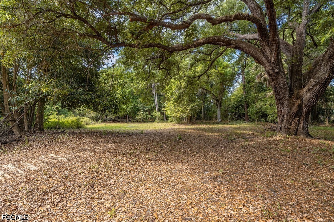 4220 Staley Road Fort Myers, FL 33905 - Photo 41 of 47 a view of outdoor space and yard