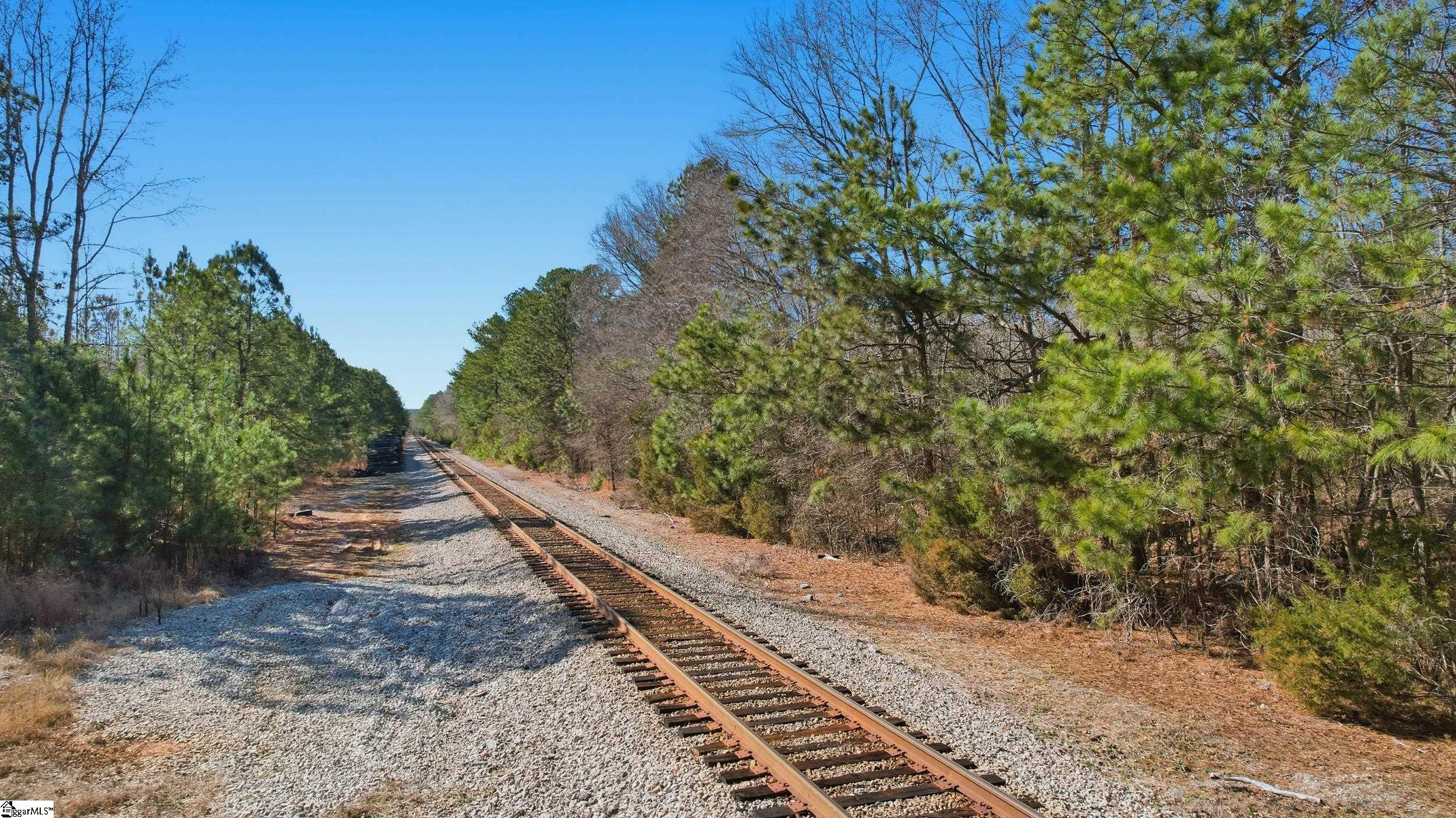 0 Apple Orchard Road Clinton, SC 29325 - Photo 18 of 22
