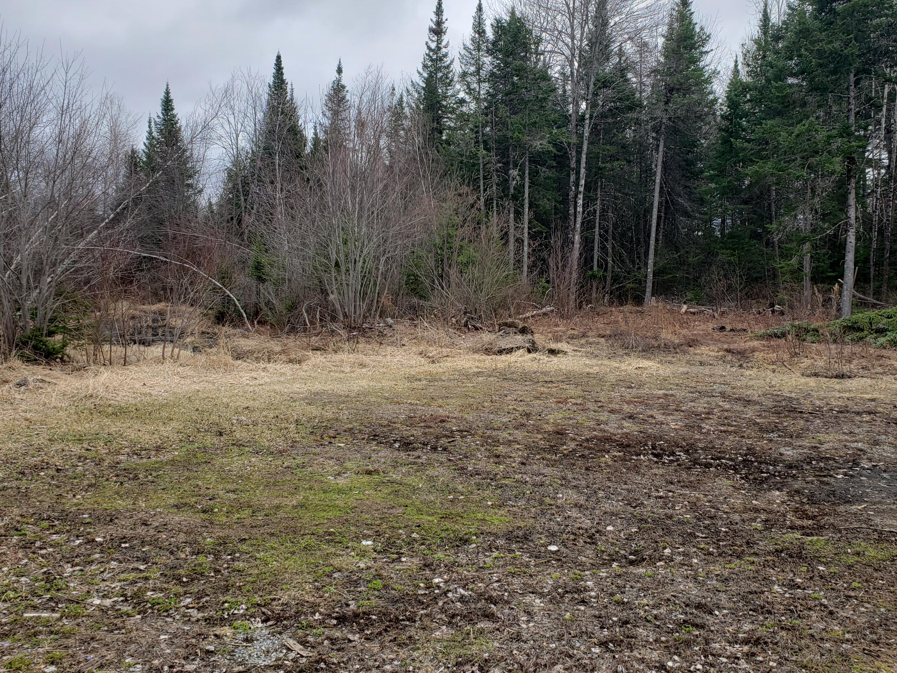 374 Martin Stream Road Fairfield, ME 04937 - Photo 43 of 48 20210406_153956