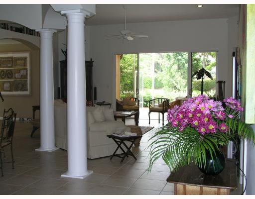 12314 Melrose Way Boca Raton, FL 33428 - Photo 4 of 12 a living room filled with furniture and a potted plant