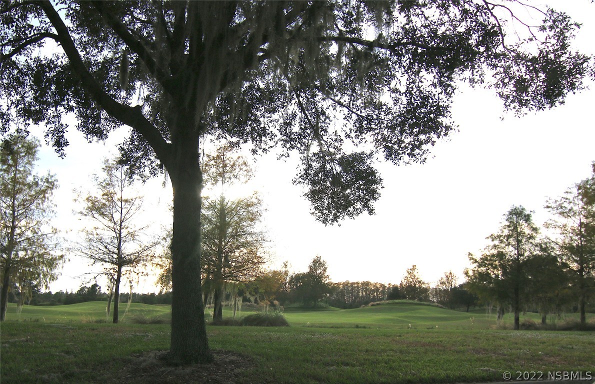 3335 Schoolhouse Road St. Cloud, FL 34773 - Photo 38 of 46 Gallery Image 38