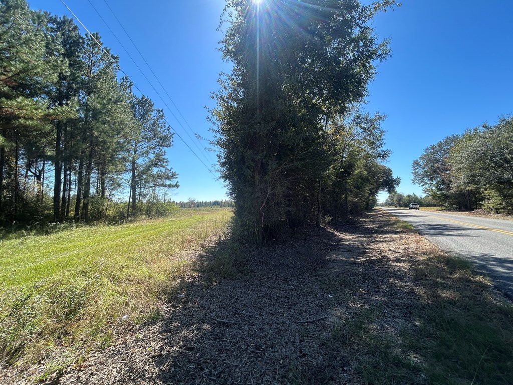 20-ac Coot Adams Road Ashford, AL 36312 - Photo 7 of 28