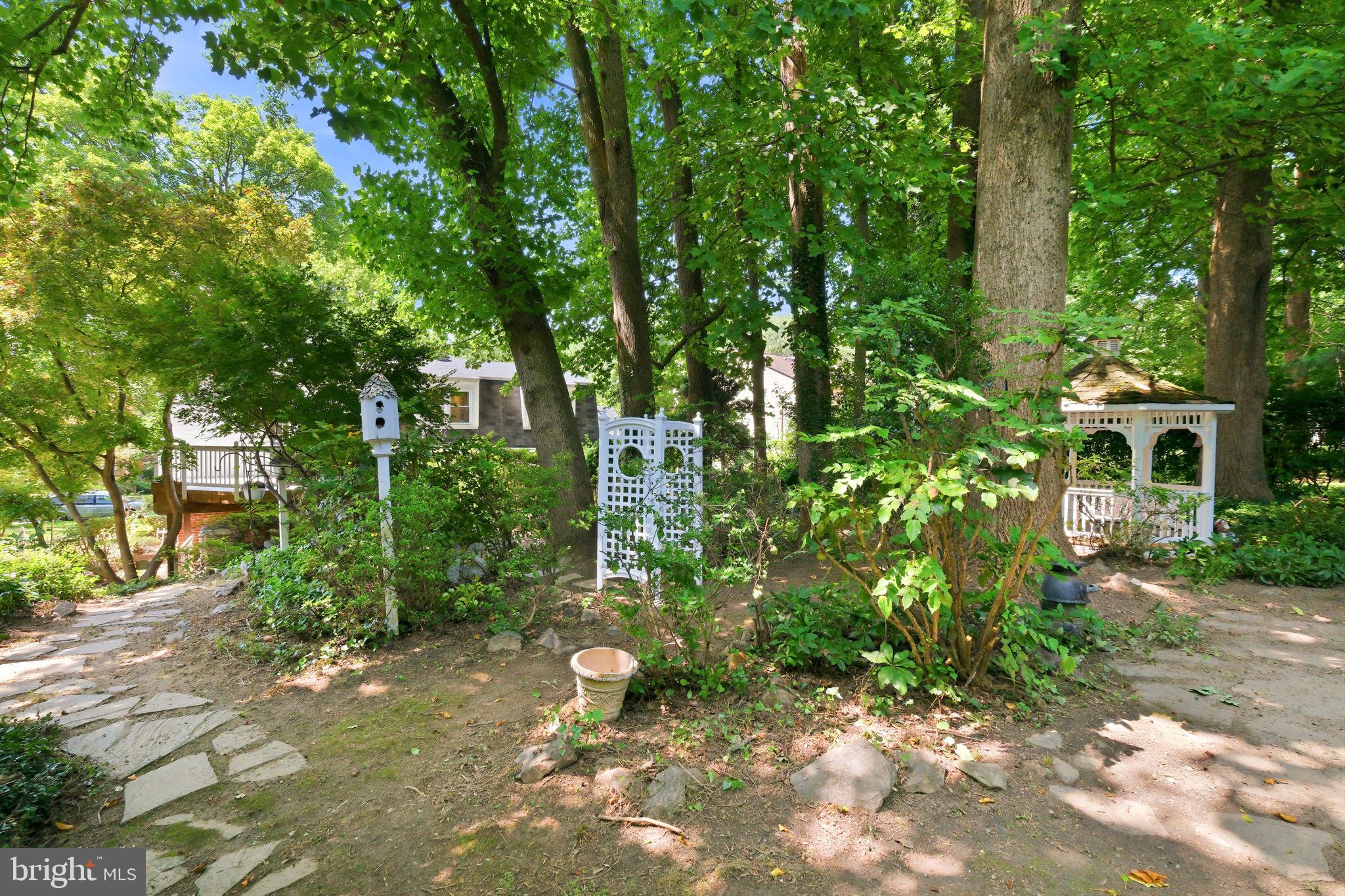 1617 Billman Lane Silver Spring, MD 20902 - Photo 46 of 47 Backyard