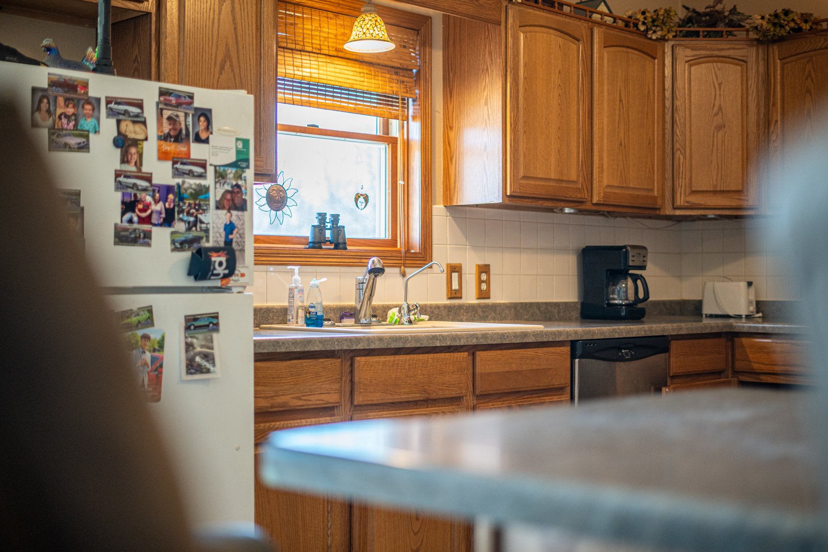 9304 Ellis Road Fenton, IL 61251 - Photo 23 of 81