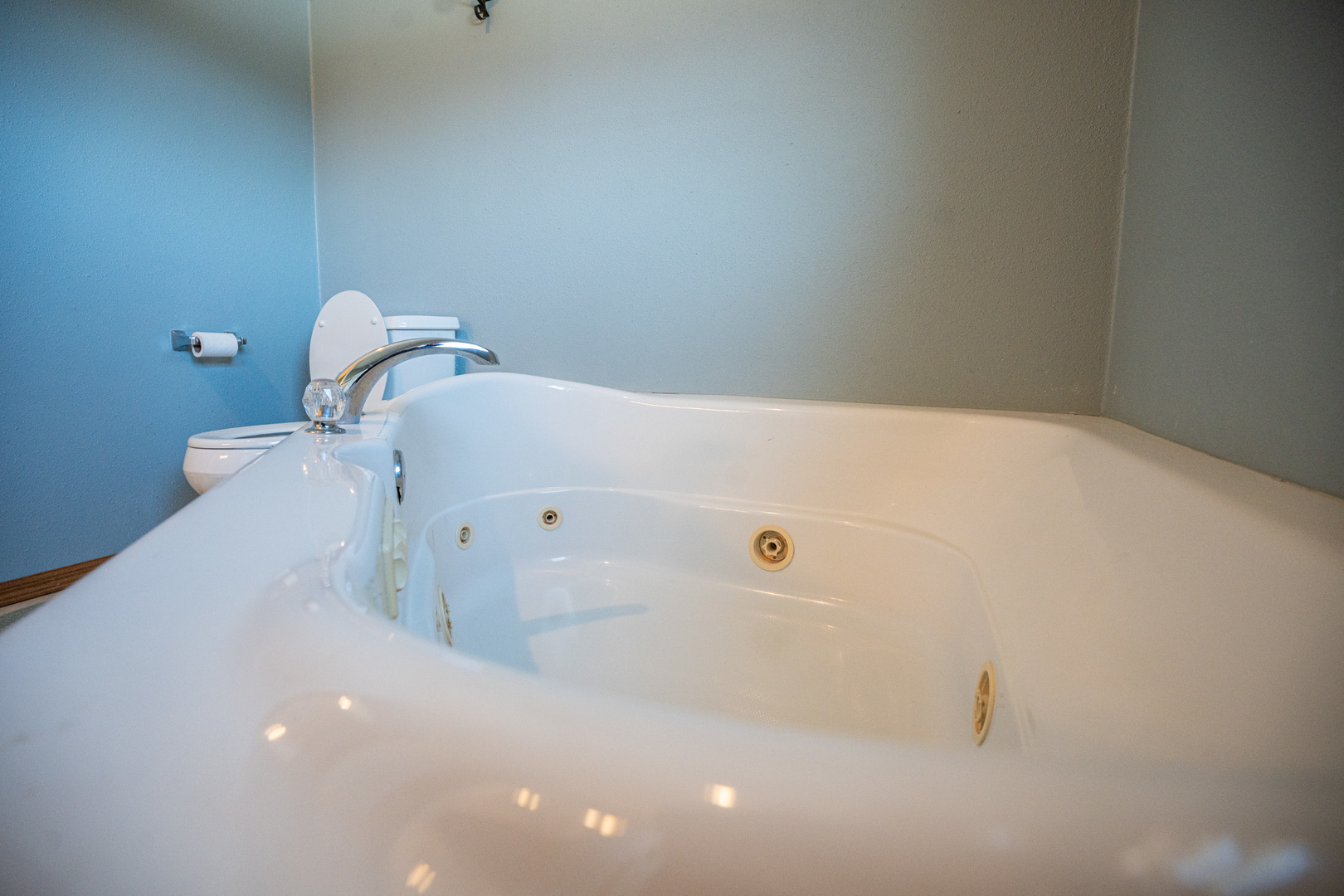 9304 Ellis Road Fenton, IL 61251 - Photo 34 of 81 a bathroom with a white tub