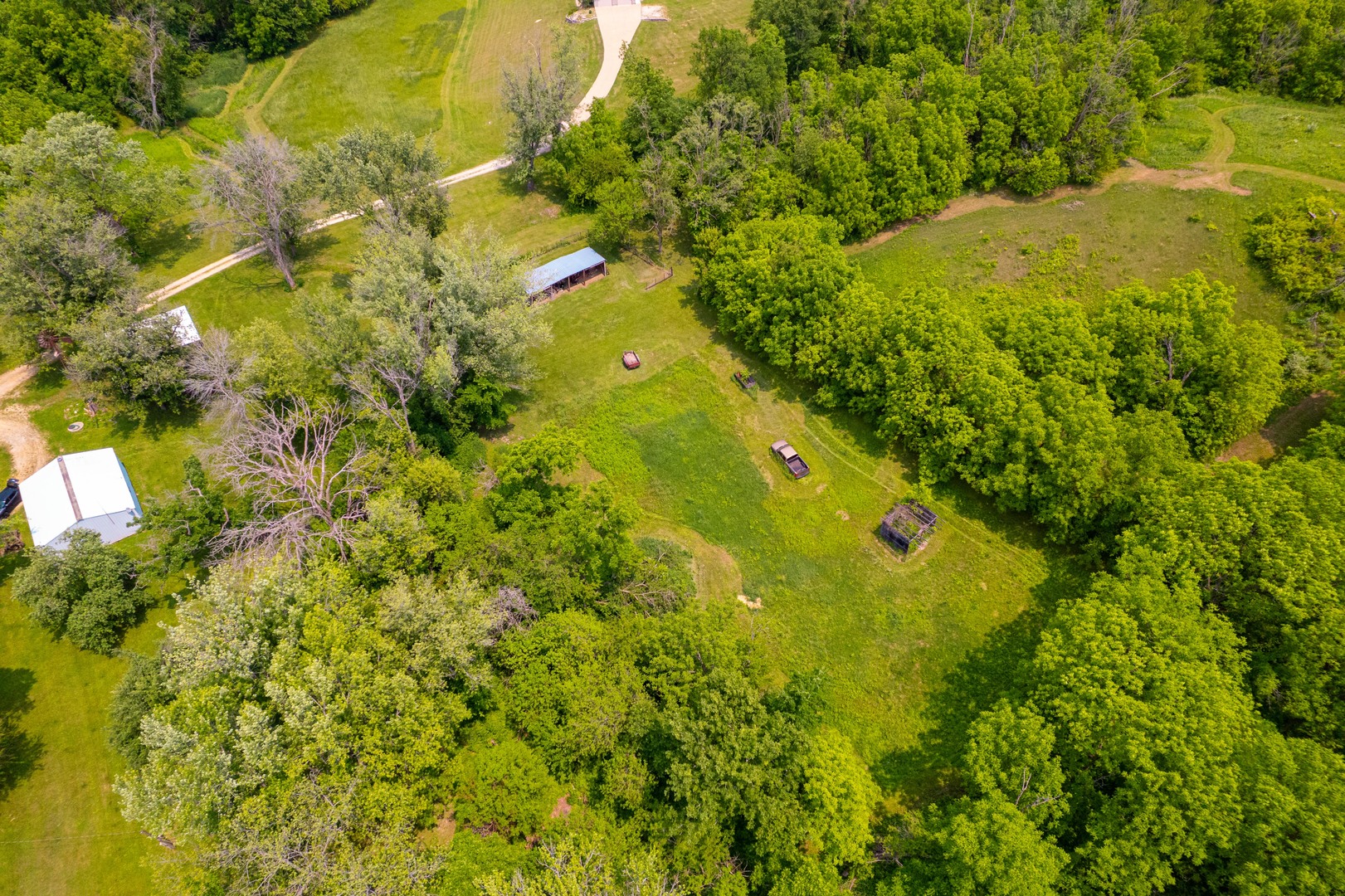 9304 Ellis Road Fenton, IL 61251 - Photo 71 of 81 a view of a large yard with plants and large trees