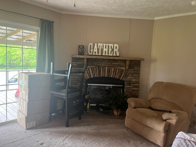 168 Liberty Road Winchester, TN 37398 - Photo 12 of 13 a living room with furniture a window and a fireplace