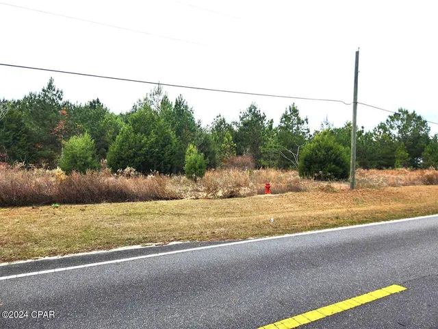 $199,000 | Xxx Freeman Road, Bristol, FL 32321