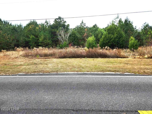 $199,000 | Xxx Freeman Road, Bristol, FL 32321