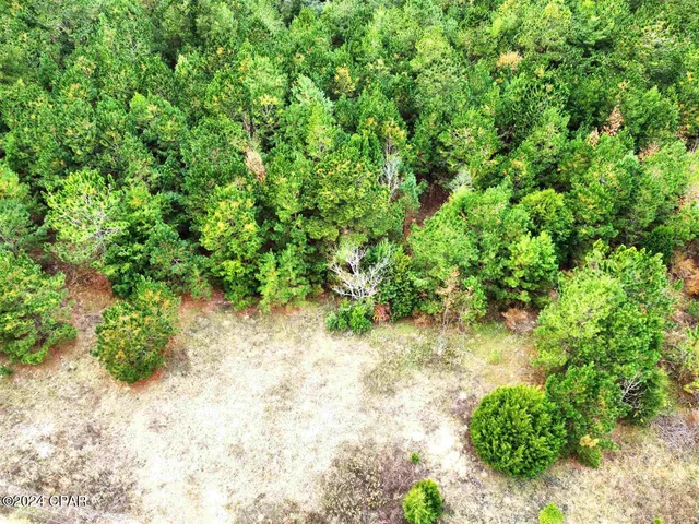 $199,000 | Xxx Freeman Road, Bristol, FL 32321