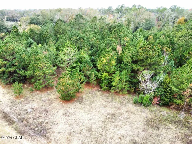 $199,000 | Xxx Freeman Road, Bristol, FL 32321