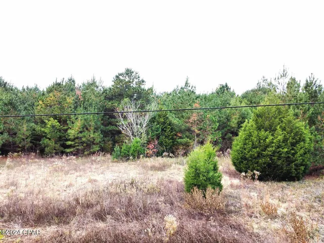 $199,000 | Xxx Freeman Road, Bristol, FL 32321