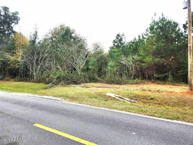 $199,000 | Xxx Freeman Road, Bristol, FL 32321