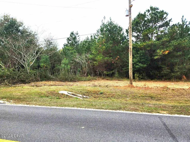 $199,000 | Xxx Freeman Road, Bristol, FL 32321