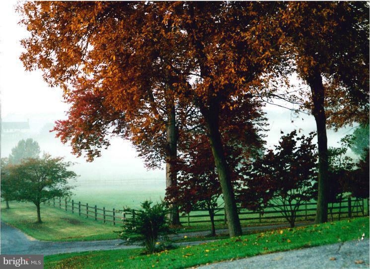 4831 Sundown Road Laytonsville, MD 20882 - Photo 15 of 30 Morning Fog
