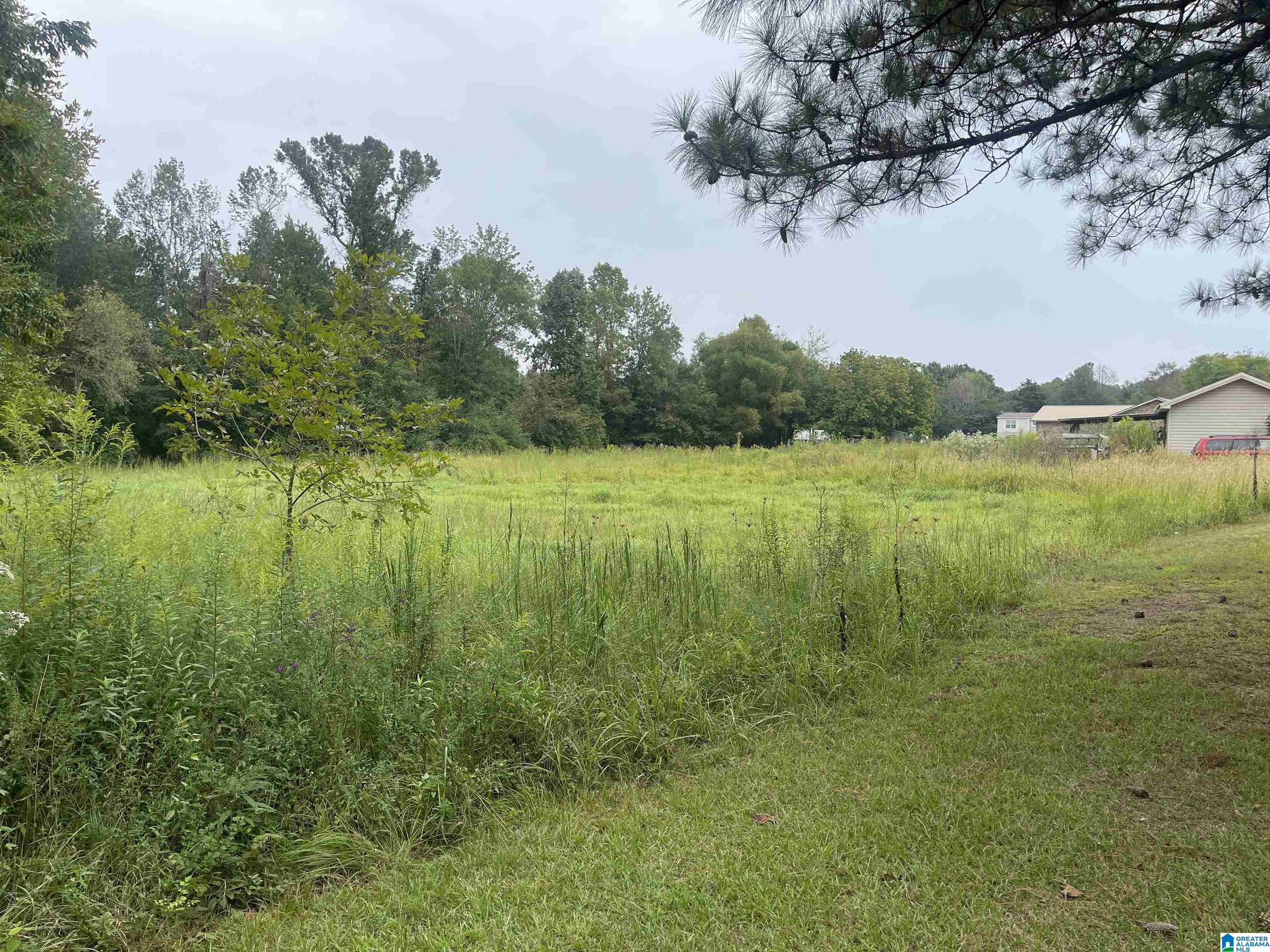 11781 Highway 144 Ragland, AL 35131 - Photo 48 of 49