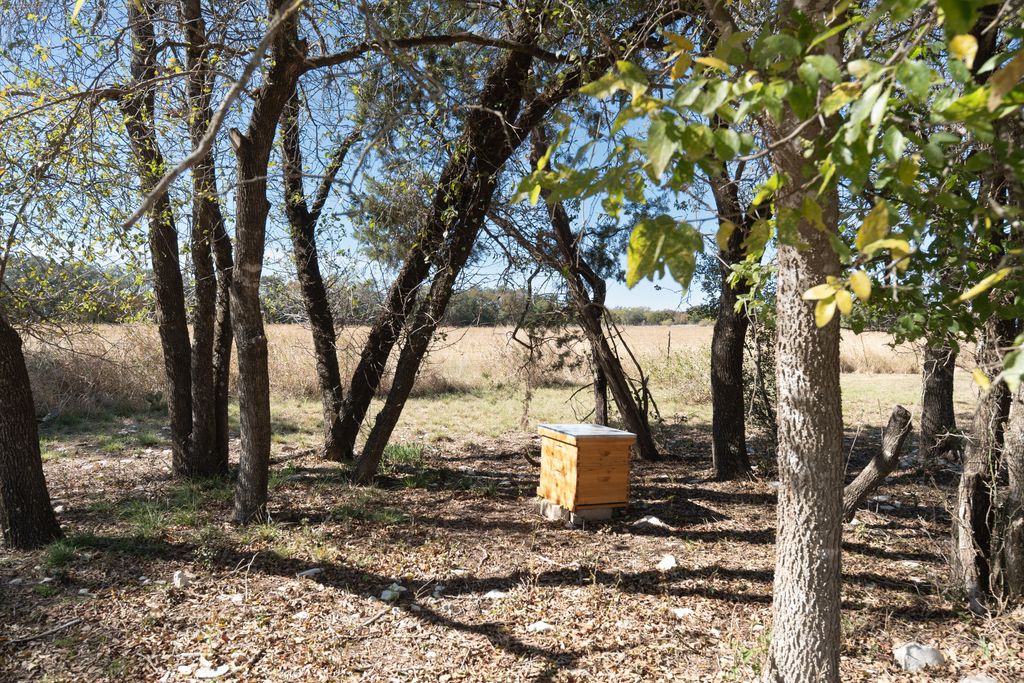 14801 Cedar Valley Road Salado, TX 76571 - Photo 3 of 16 a view of a trees and a yard
