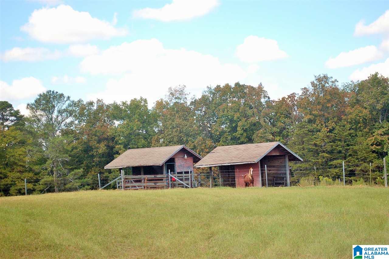 905 Sitton Road Hayden, AL 35079 - Photo 10 of 34