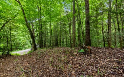 Price Road Blue Ridge, GA 30513 - Photo 20 of 43 Additional View
