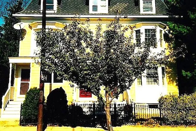 a picture of a tree in front of a house