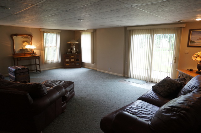 8101 West Bruns Road Monee, IL 60449 - Photo 23 of 25 a bedroom with furniture and a window