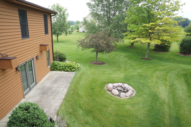 8101 West Bruns Road Monee, IL 60449 - Photo 25 of 25 a view of a backyard with a garden