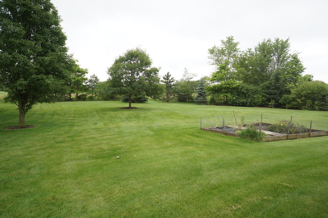 8101 West Bruns Road Monee, IL 60449 - Photo 3 of 25 a view of an outdoor space and a yard