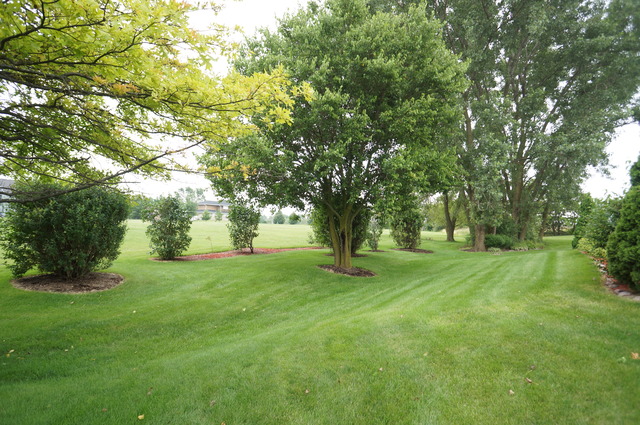 8101 West Bruns Road Monee, IL 60449 - Photo 4 of 25 a view of a trees in a yard