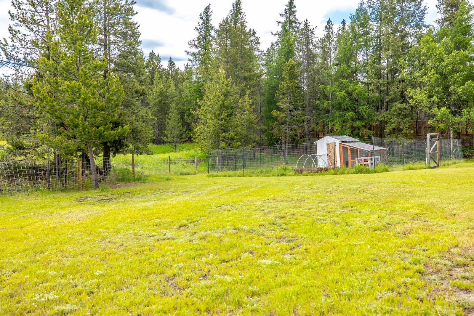 317 Pleasant Vly Road Marion, MT 59925 - Photo 52 of 60 Gallery Image 52