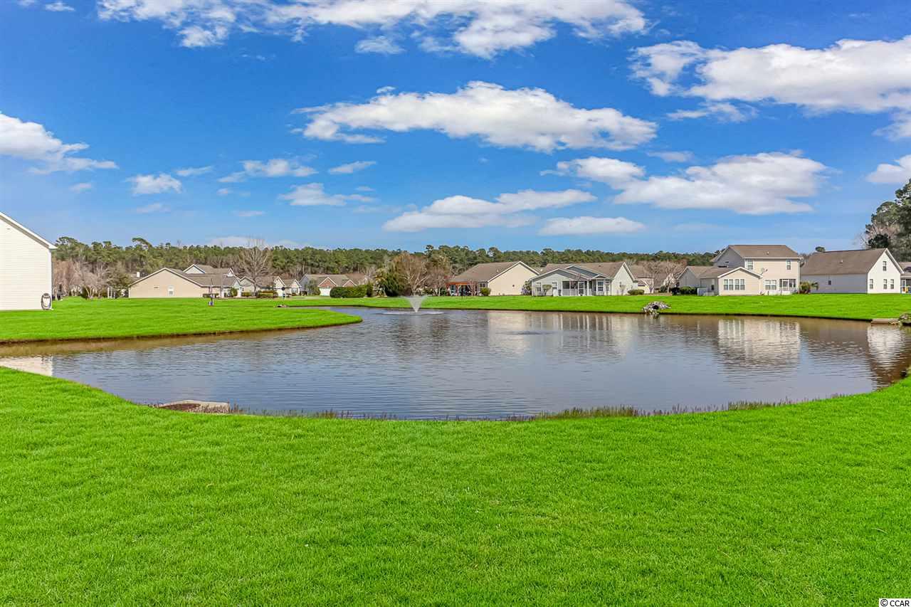 322 Whitchurch Street Murrells Inlet, SC 29576 - Photo 26 of 30 Gallery Image 26