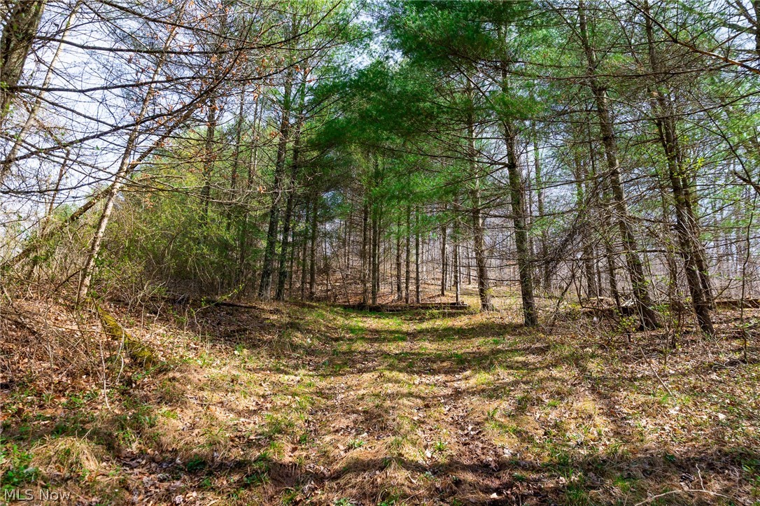 East Branch Road Lowell, OH 45744 - Photo 15 of 29
