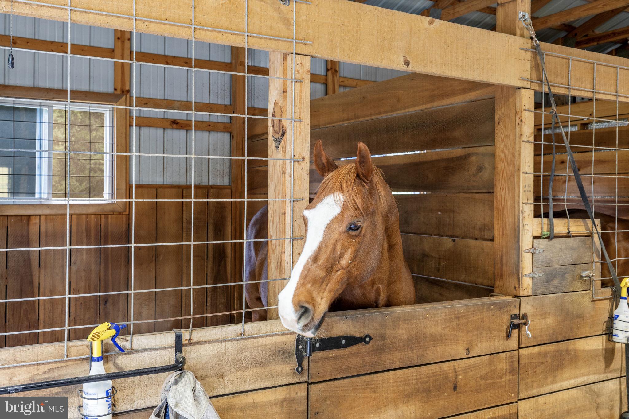 17070 Good Hope Road King George, VA 22485 - Photo 8 of 102