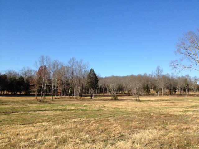 2 Corinth Road Mount Juliet, TN 37122 - Photo 2 of 4