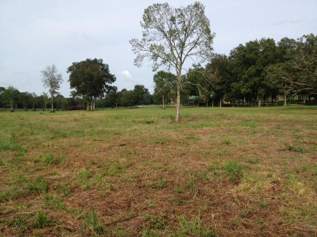 2 Corinth Road Mount Juliet, TN 37122 - Photo 3 of 4