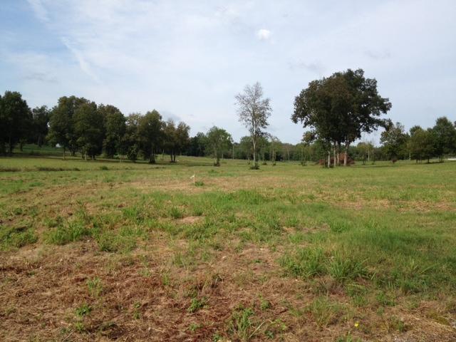 2 Corinth Road Mount Juliet, TN 37122 - Photo 4 of 4