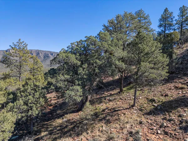 $150,000 | Lot 163 North Portal Dr Pine, Pine, AZ 85544