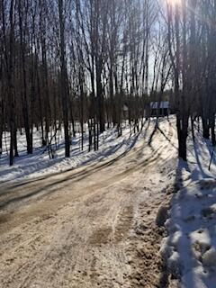 90 Lewis Road Naples, ME 04055 - Photo 22 of 24 IMG_6414