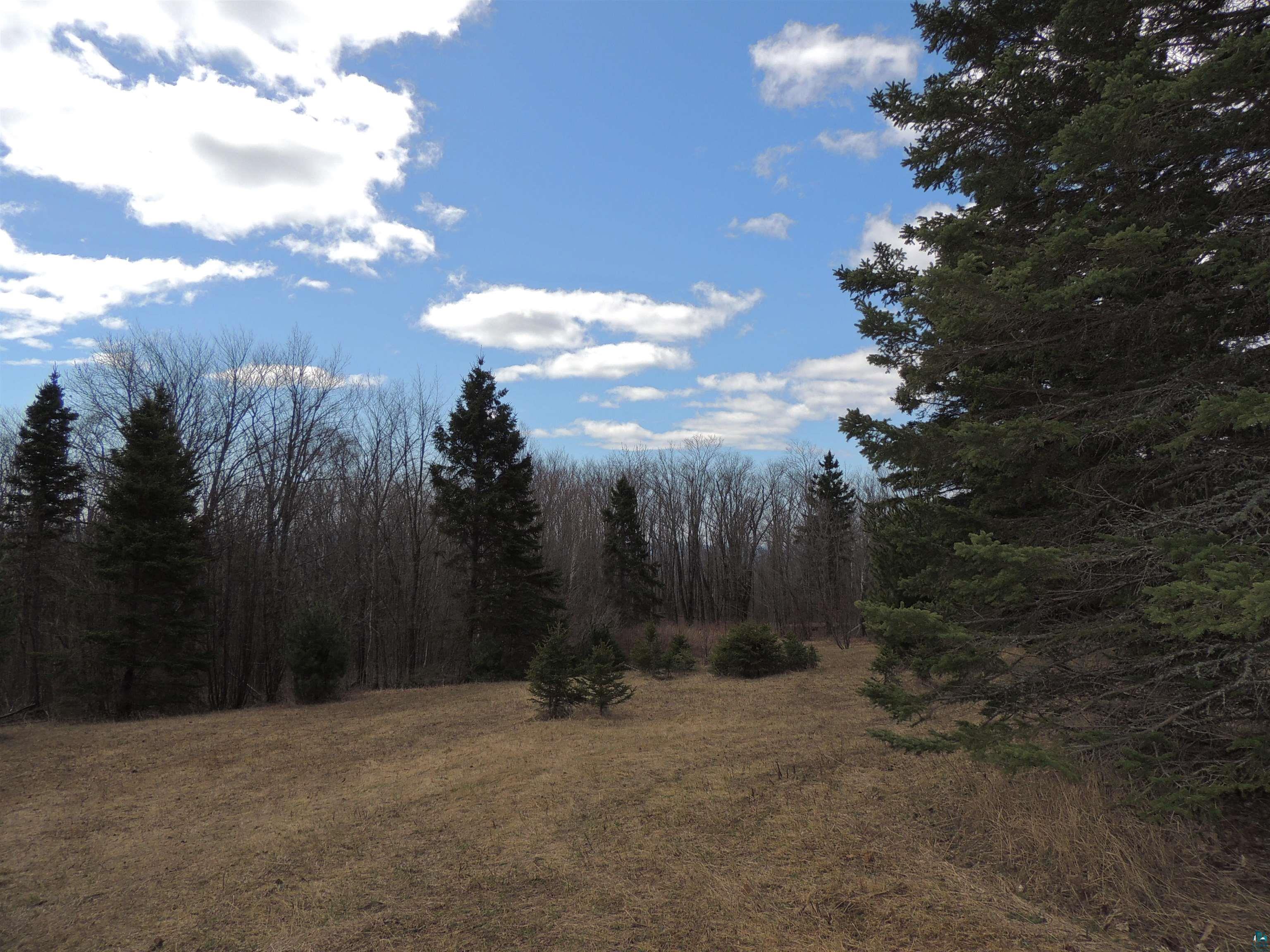 Xxx Springdale Road Tofte, MN 55615 - Photo 10 of 36