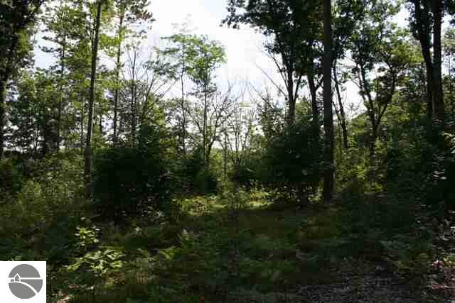 1009 Tranquil Point Road Traverse City, MI 49696 - Photo 16 of 25 1729526-15.JPG