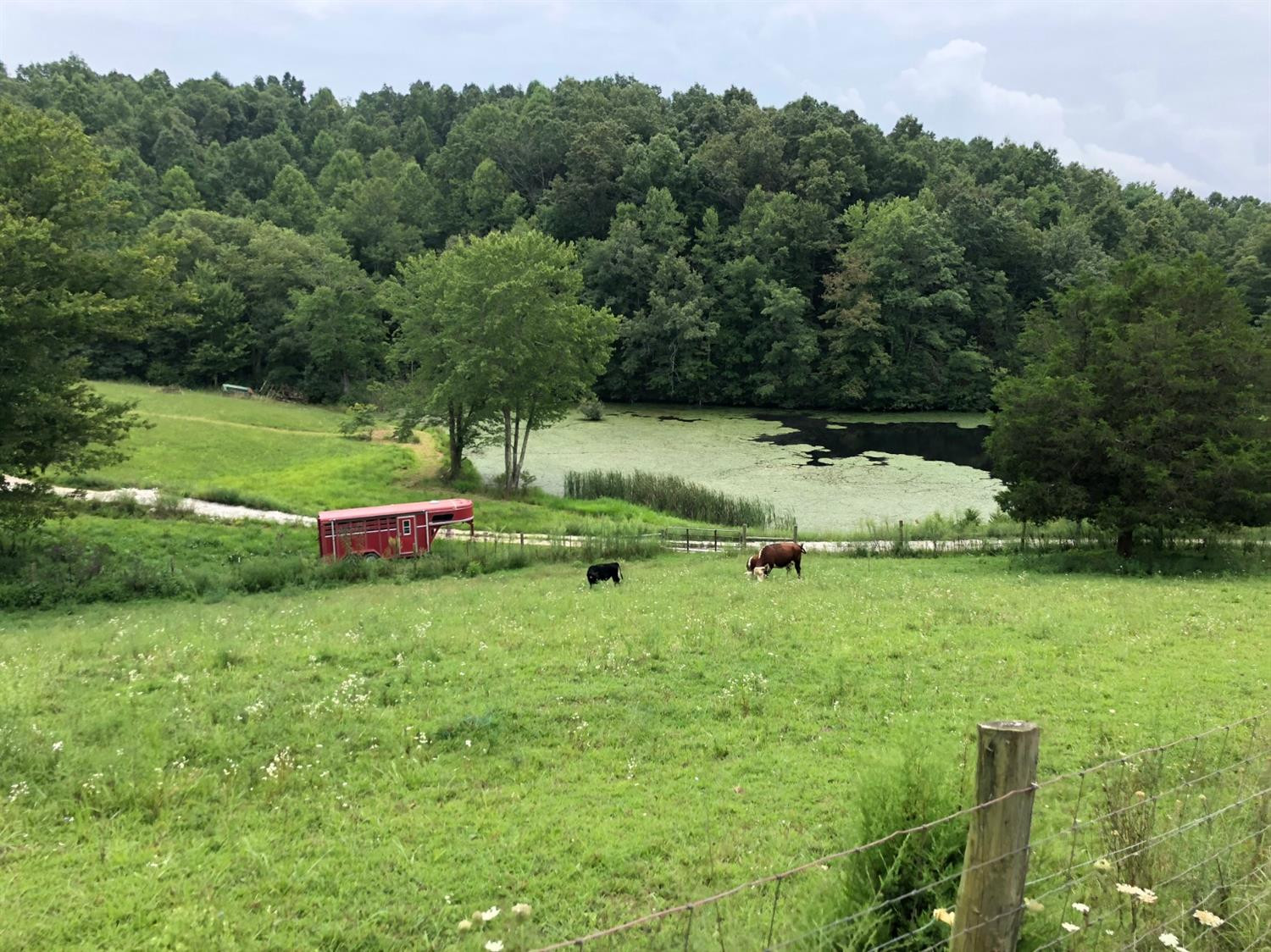 1160 Kelly Branch Road London, KY 40741 - Photo 37 of 49 Photo 37