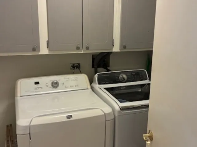 a view of backyard from window