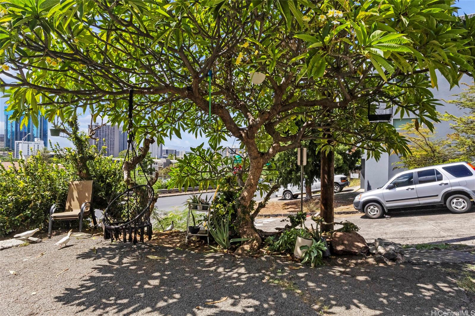 404 Magellan Avenue Honolulu, HI 96813 - Photo 4 of 23 Shade Tree at entrance