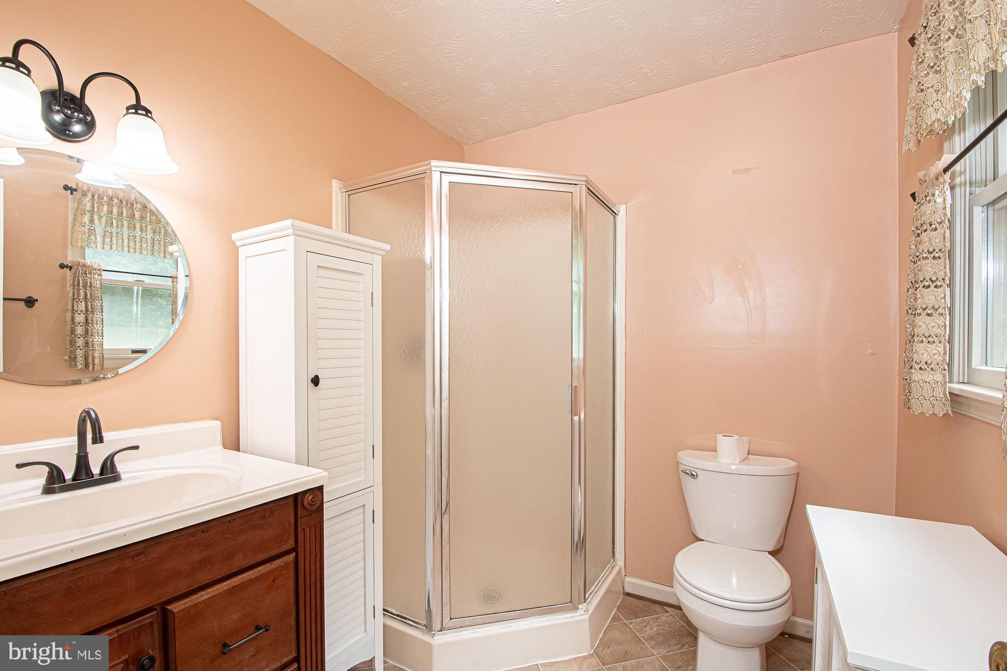 302 Parkside Road Linden, VA 22642 - Photo 20 of 30 a bathroom with a granite countertop sink toilet a mirror and shower