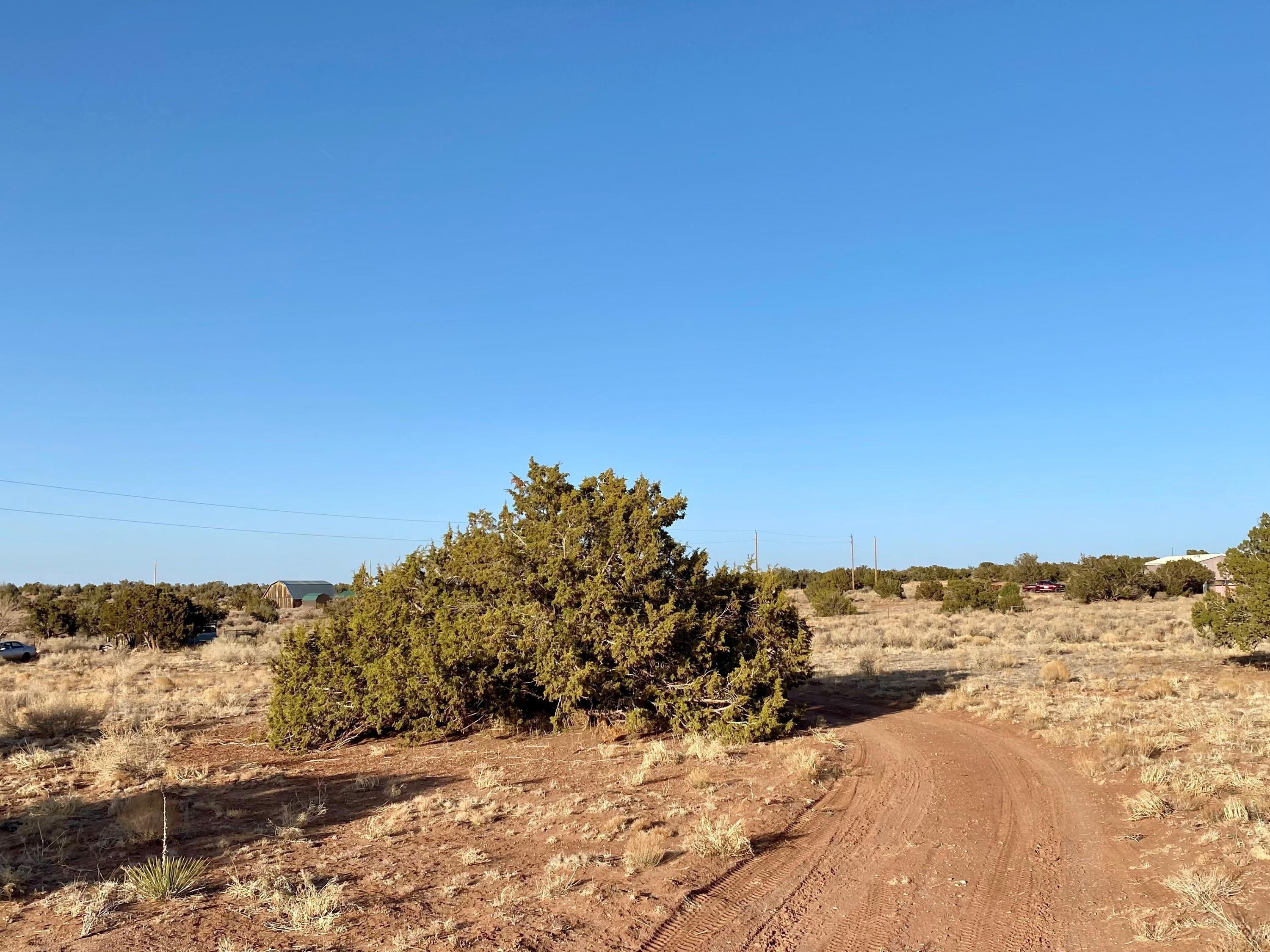 4719 Norris Road Snowflake, AZ 85937 - Photo 7 of 7