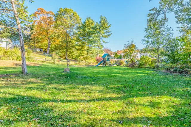 a view of a trees with a big yard