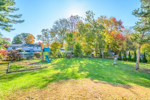 a view of a backyard with plants and trees
