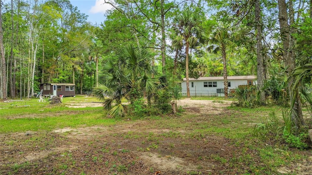 3650 176 Place Inglis, FL 34449 - Photo 43 of 49 a view of a yard with plants and trees
