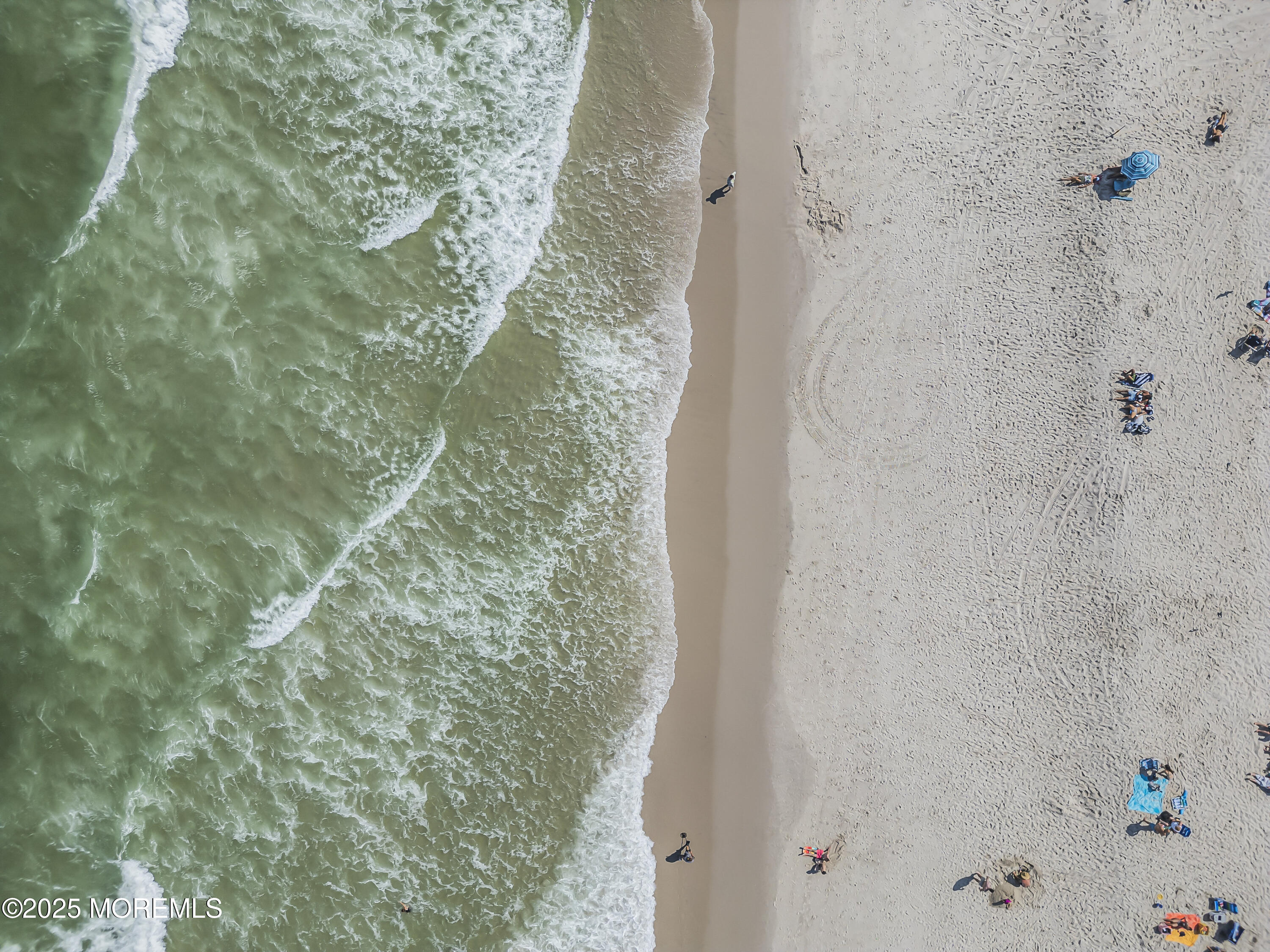 Boulevard, Unit 18 Seaside Park, NJ 08752 - Photo 59 of 60 a bathroom with a shower and a plant